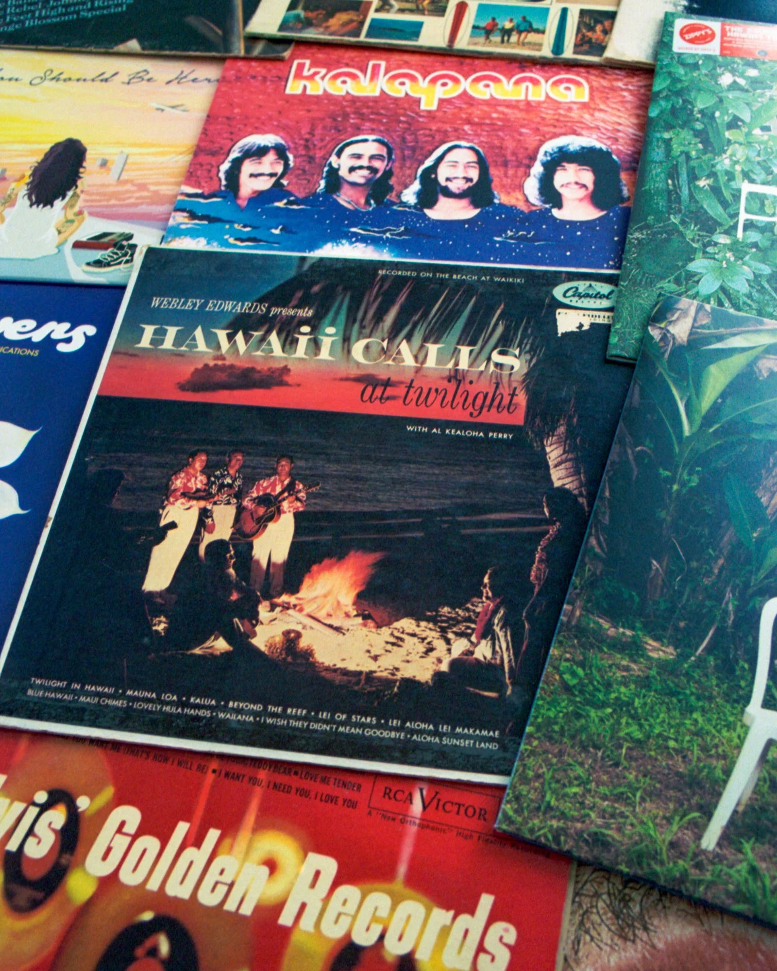 Hotel Renew Vinyl Record Collection-Hungry Ear-Music Curator-8.jpg