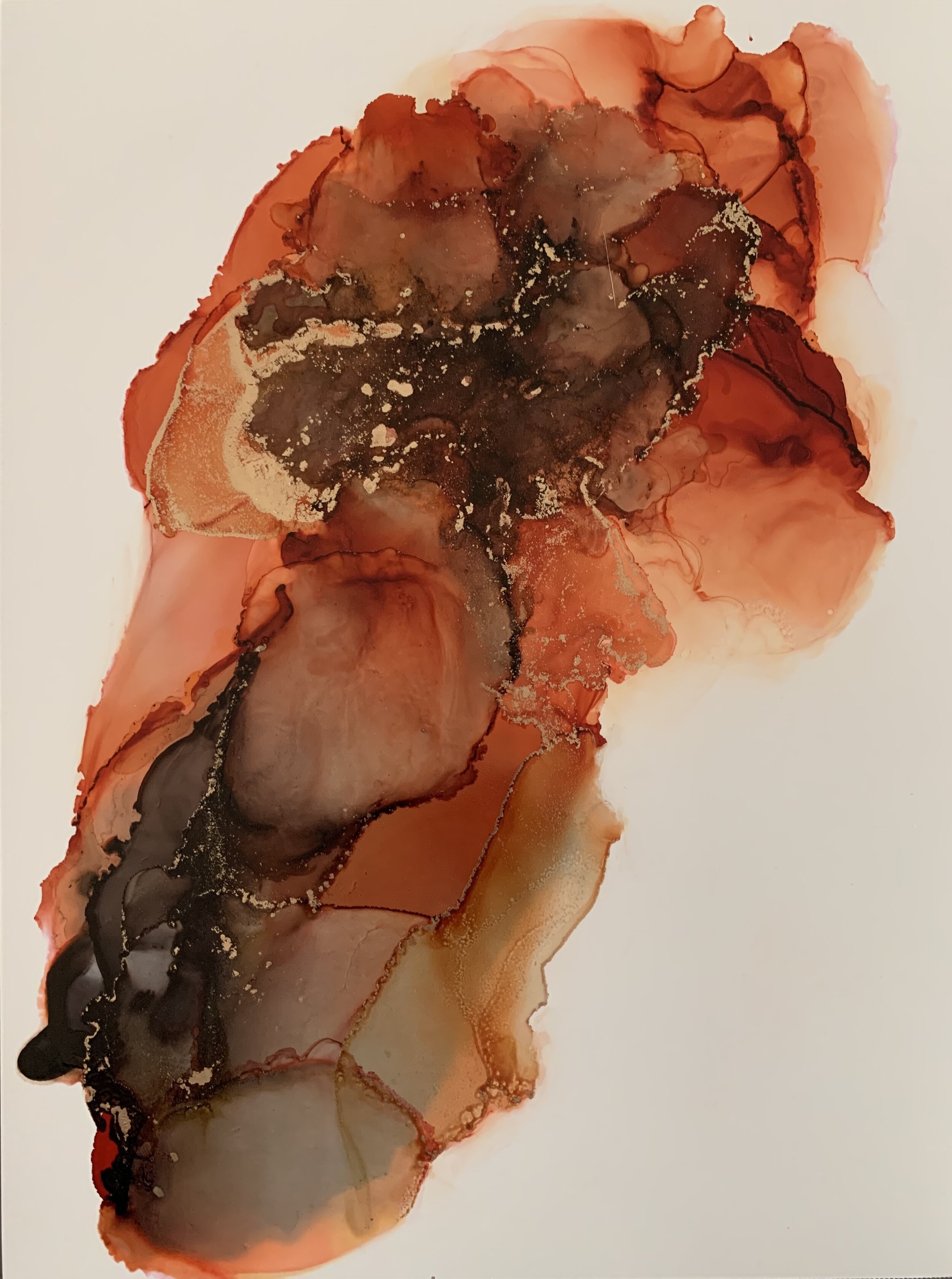 FE473B7A-097E-4822-A78B-CF932C11AE4A_1_201_a.jpeg
