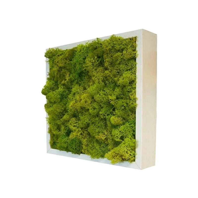 FBX-145_1024x1024 - Copy.jpg