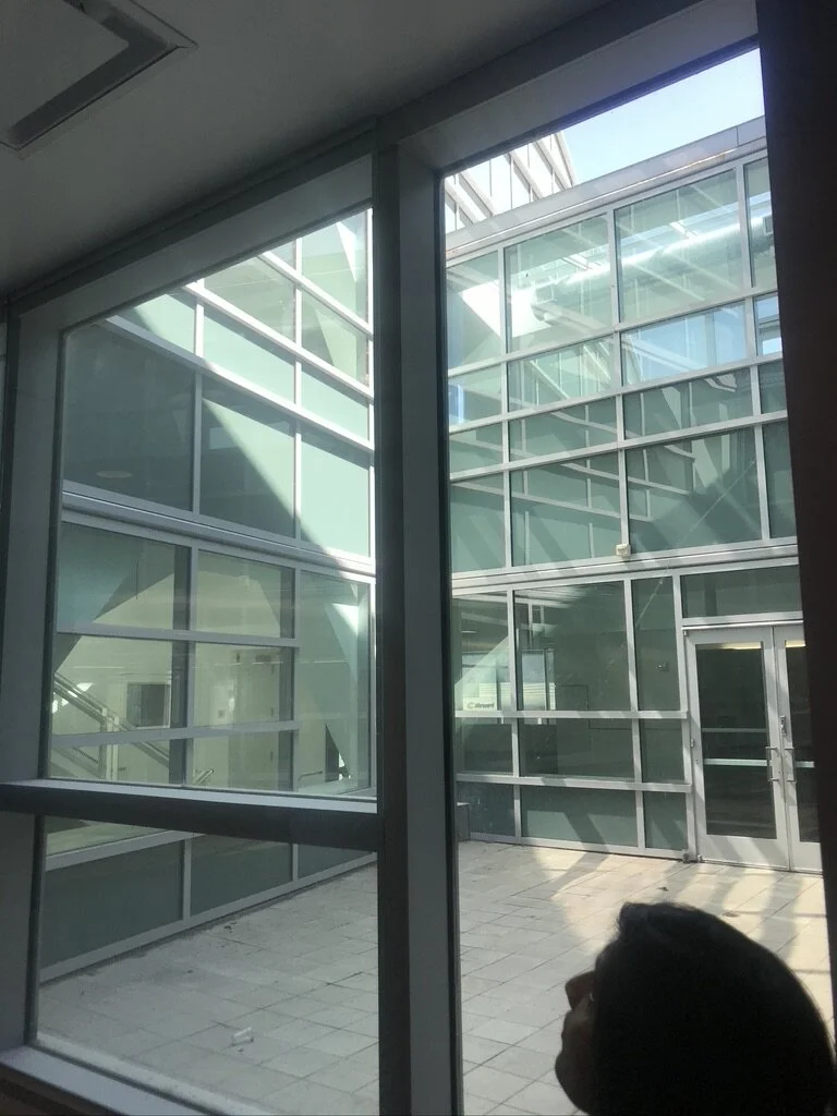 LEVEL 4 COURTYARD.jpeg