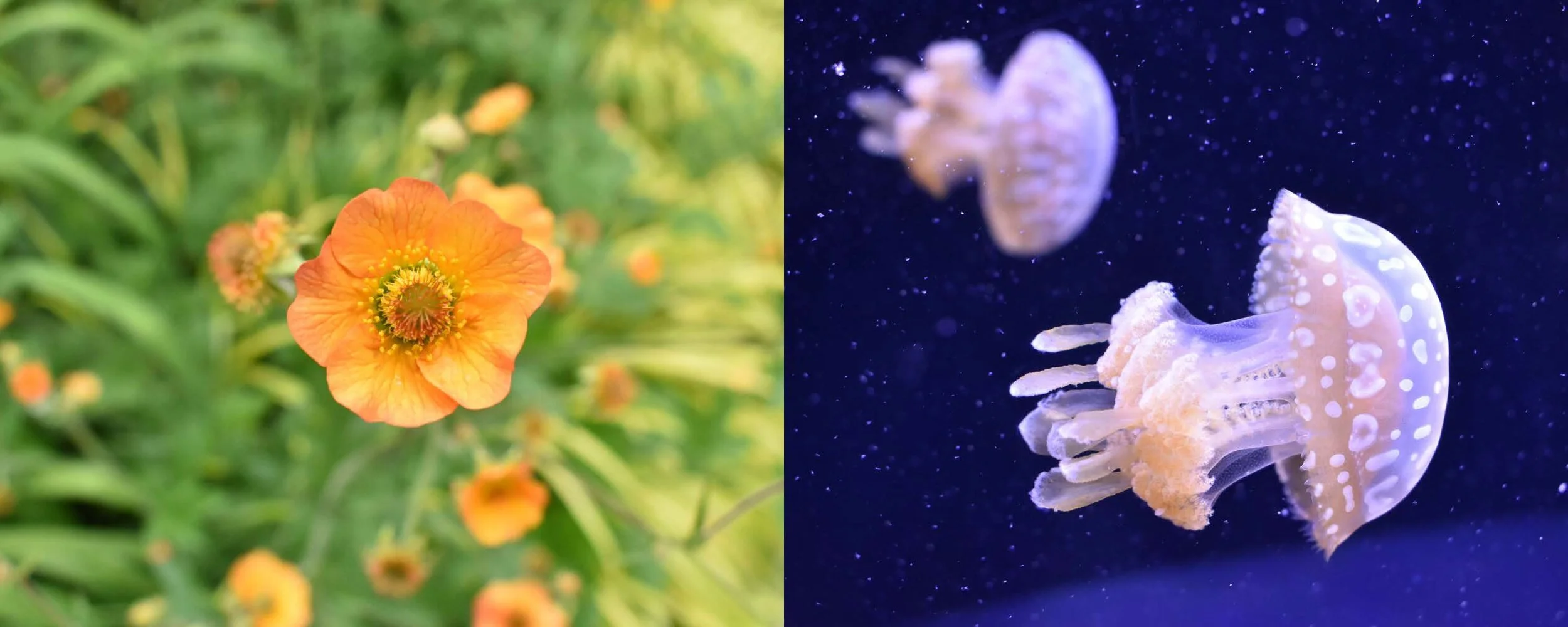 2020 Portfolio_Camessia Johnson_Page_80.jpg