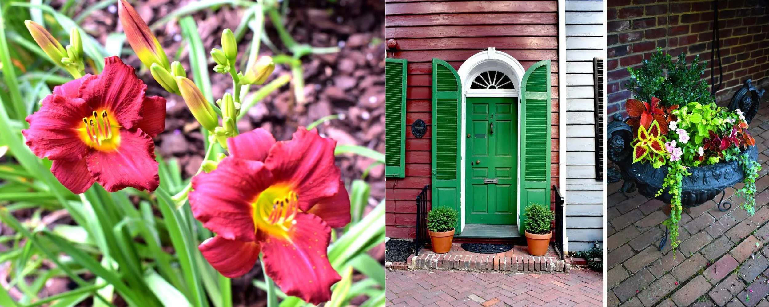 2020 Portfolio_Camessia Johnson_Page_79.jpg