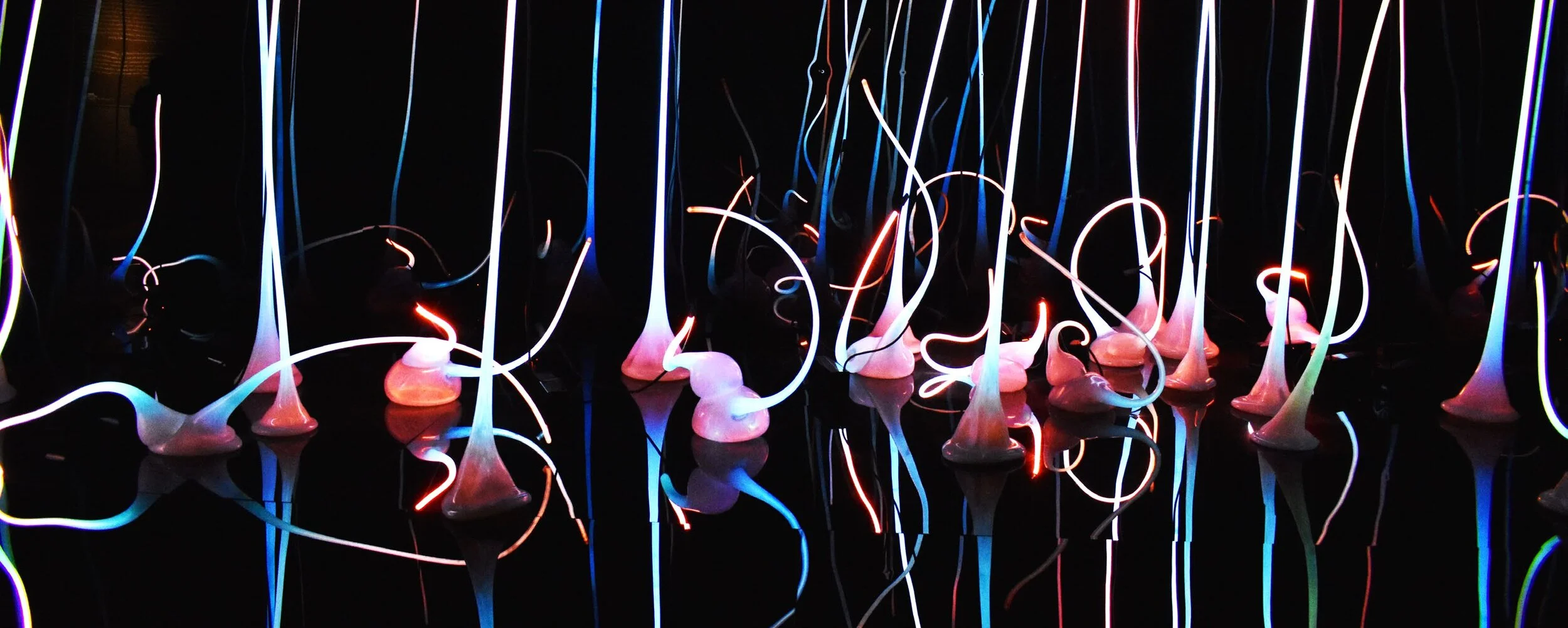 2020 Portfolio_Camessia Johnson_Page_76.jpg