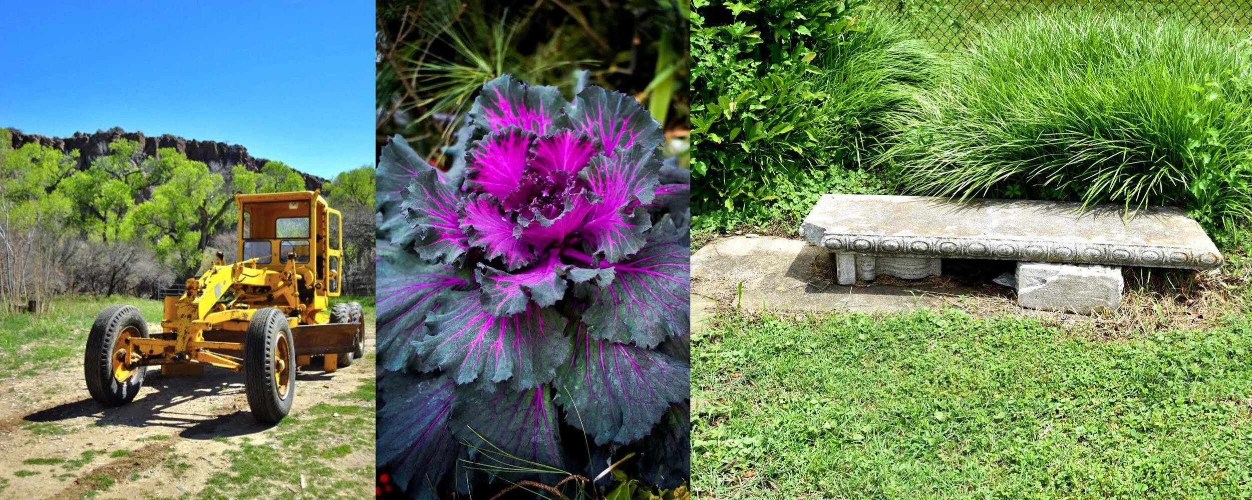 2020 Portfolio_Camessia Johnson_Page_78.jpg