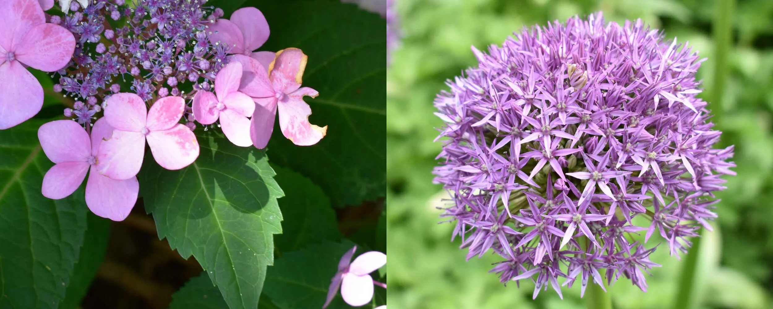 2020 Portfolio_Camessia Johnson_Page_81.jpg