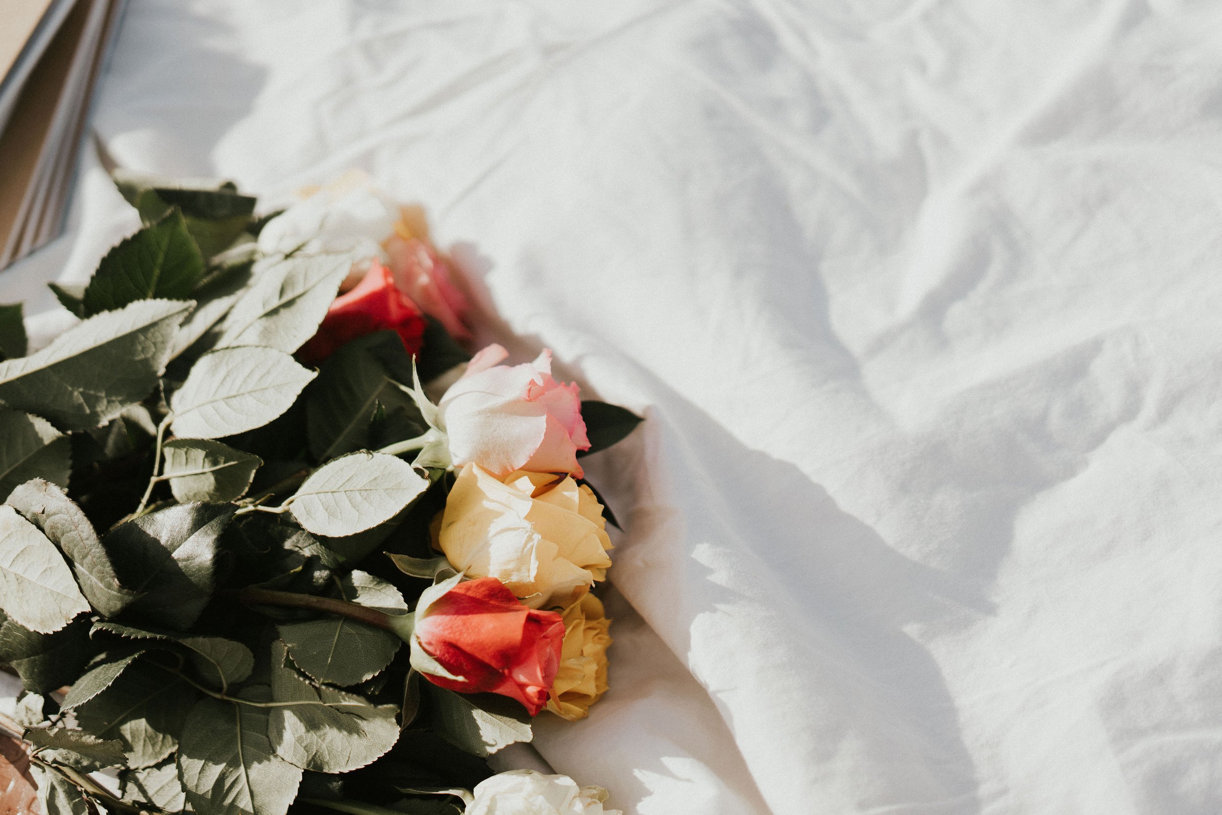 LoveCampJan-LauraPalaciosPhotography(3of108).jpg