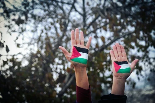 Ignore the Critics: The Debate on Palestinian Rights Advanced at the DNC 