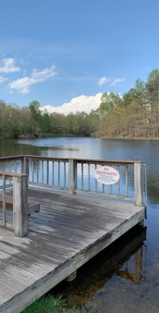 Erika_Beauchamp_Neighborhood_Lake_Virginia.jpeg