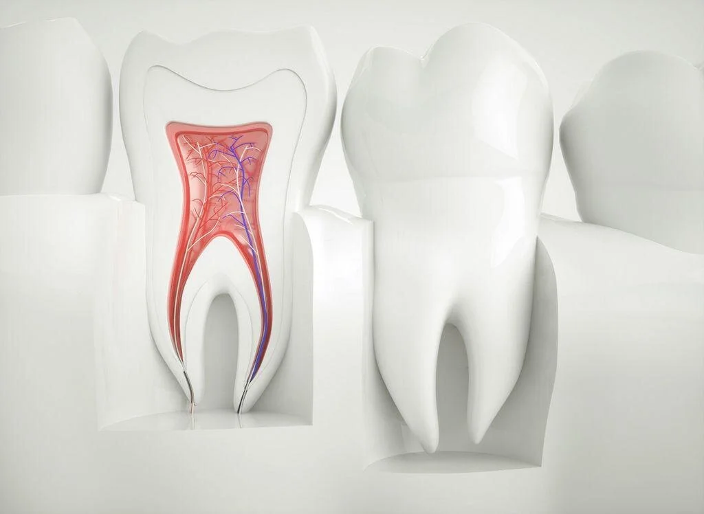 Does A Root Canal Damage Or Kill A Tooth Intermountain Dental Specialists