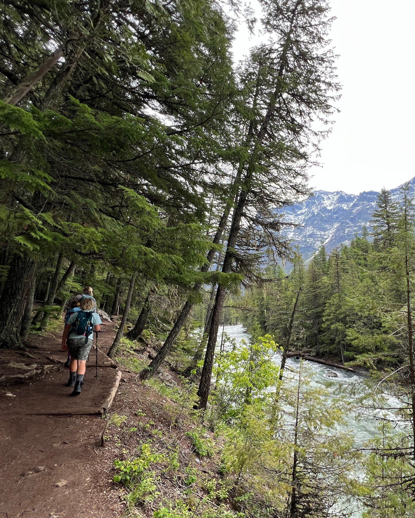 It is June 2022. I am hiking along Upper McDonald Creek. The creek is high, as the snowmelt is late this year. We're among the early crowd to Glacier, having arrived as soon as the campgrounds open. We go around nearby Johns Lake, extending the hike 