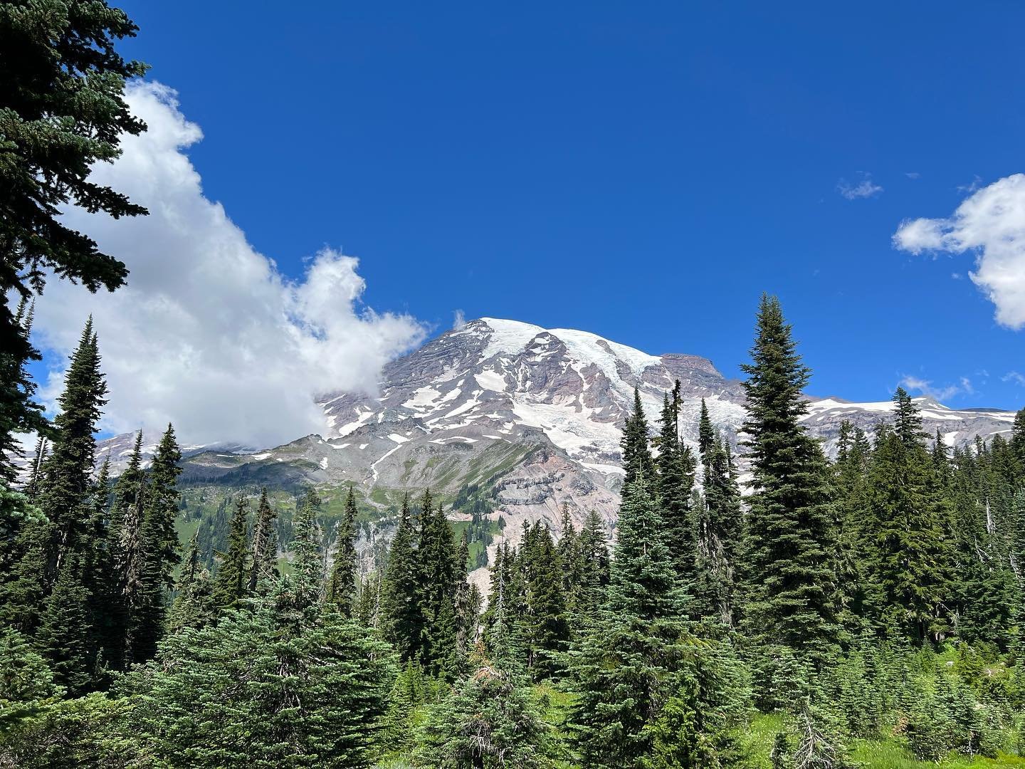 After hiking back from Nisqually Vista, Luke and I set off to do the Alta Vista, which involved a steep 300' of climbing right up front, but got much easier after, with big views of Paradise and the Tatoosh