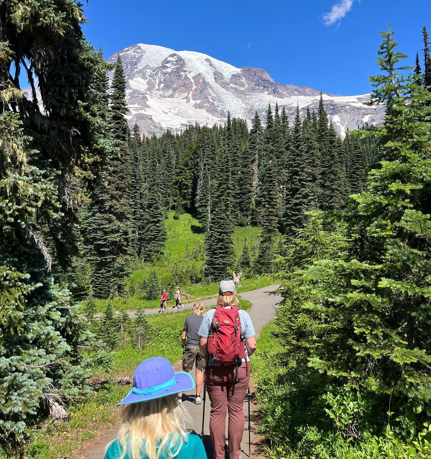 Nisqually Vista, part 1 - this was our only big family hike on this trip, as Kristin&lsquo;s knees weren&rsquo;t quite up to the task of alpine trail inclines. that said, if you&rsquo;re only going to do one hike, this is a stunner. Everywhere we loo