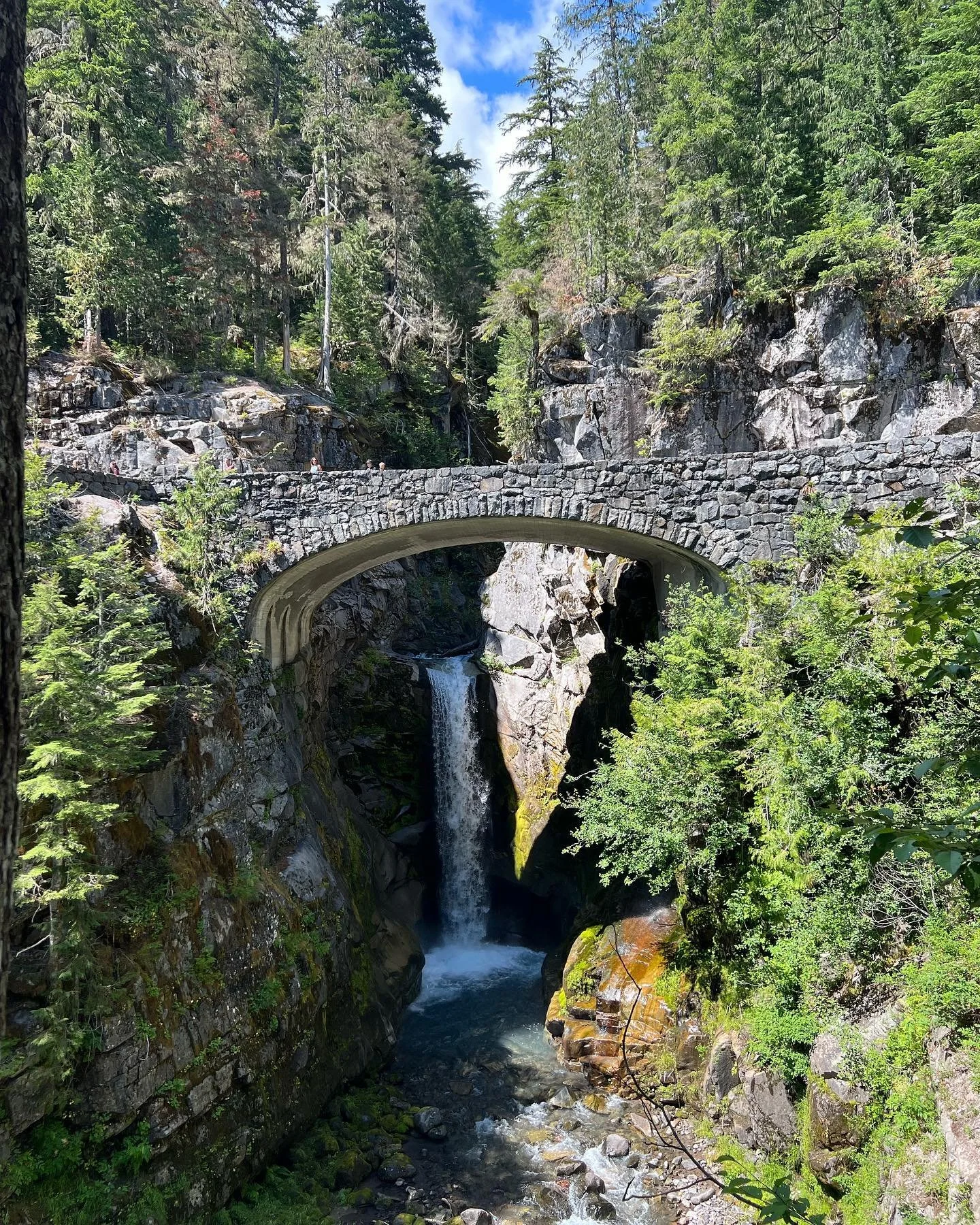 Christine falls with its lovely bridge, and the Nisqually near its freezing head, full of glacial milk and fresh, cold fury