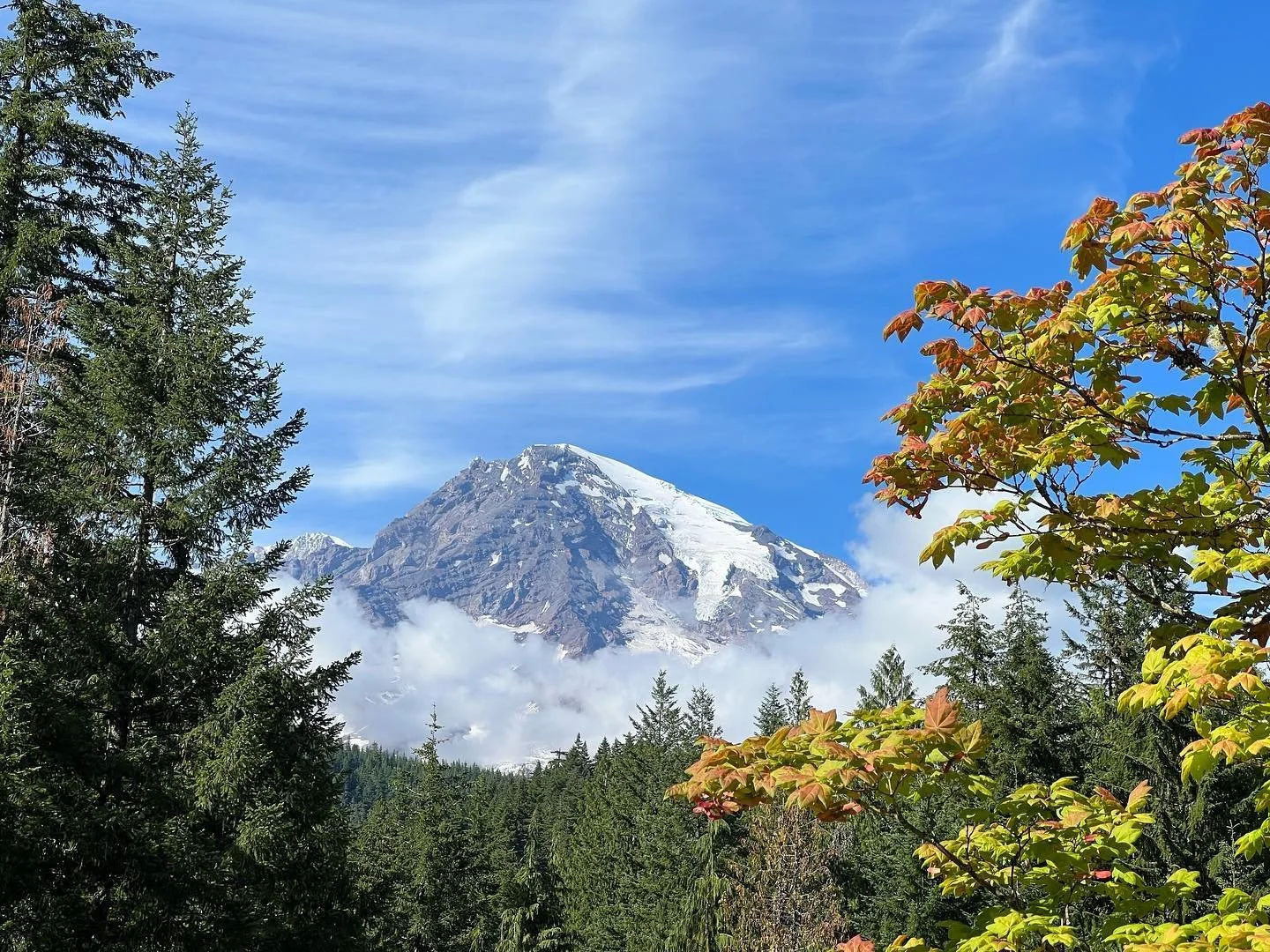 Making camp and first sights at @mountrainiernps! Audrey demonstrating how to keep smoke from your eyes when roasting marshmallows 😆