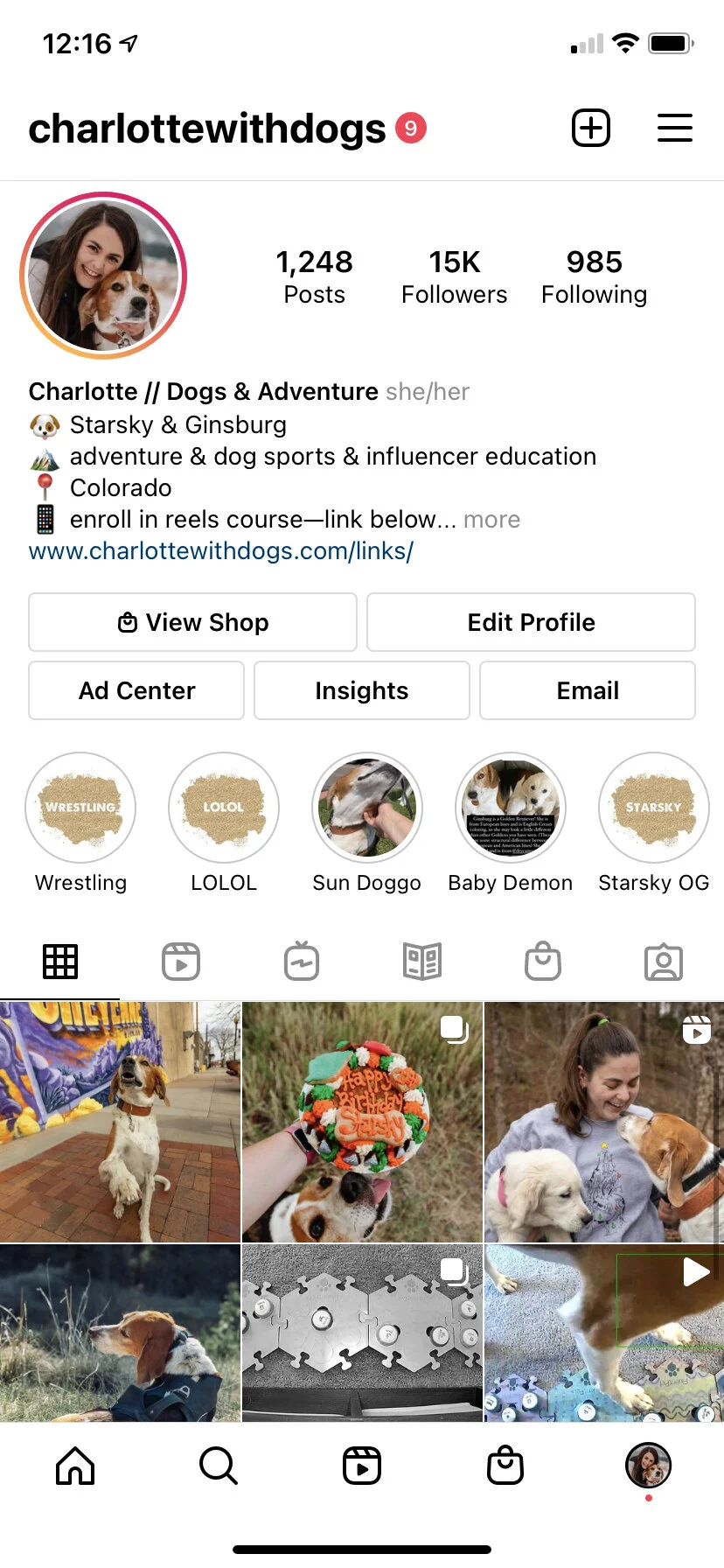 4 Simple Steps to Grow Your Dog's Instagram Account in 2021 — Charlotte