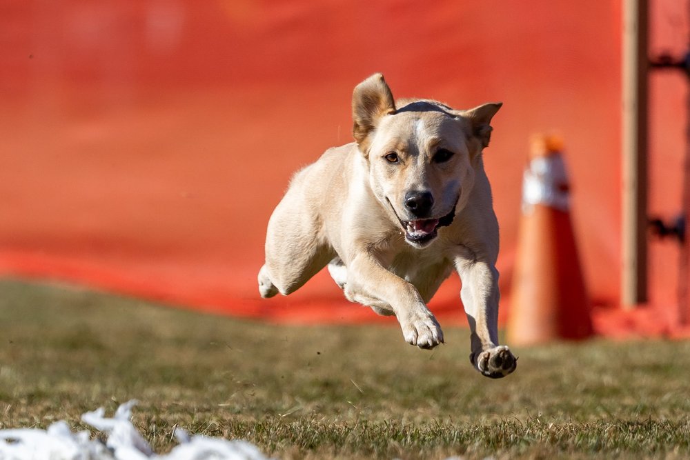 IMG_8360 - Meghan Graham.jpeg