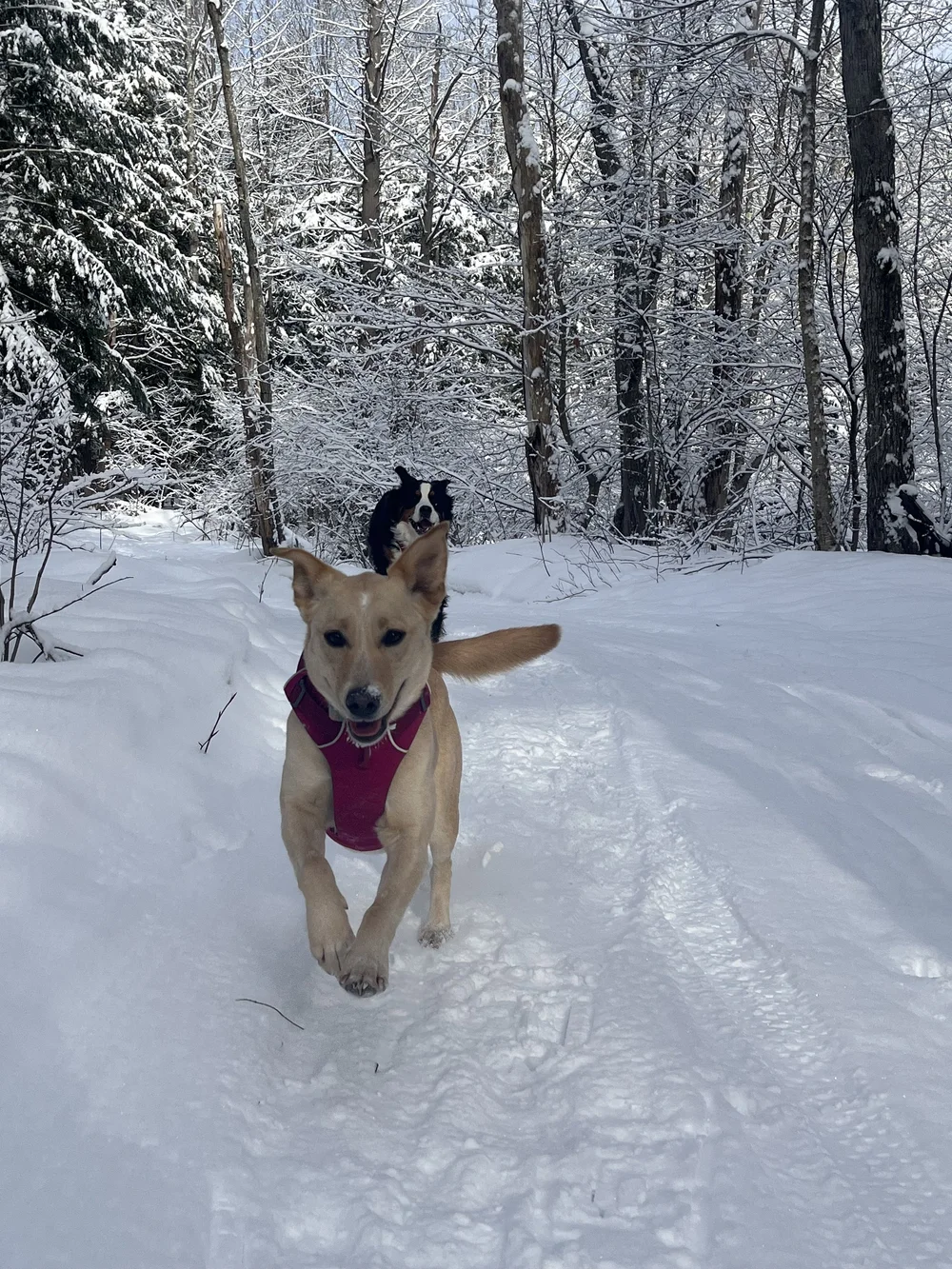 IMG_8658 - Meghan Graham.jpeg