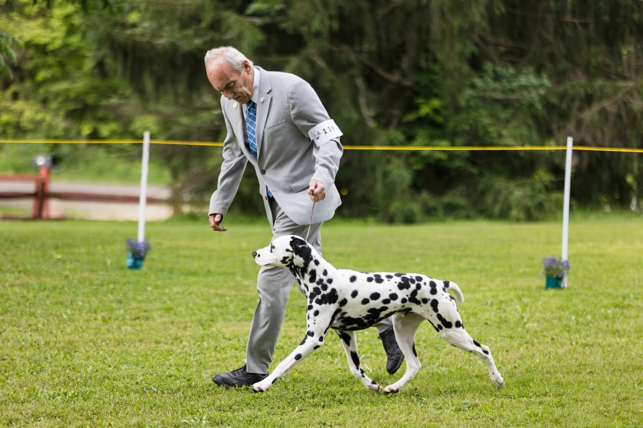 Nango Circuit Dog Show