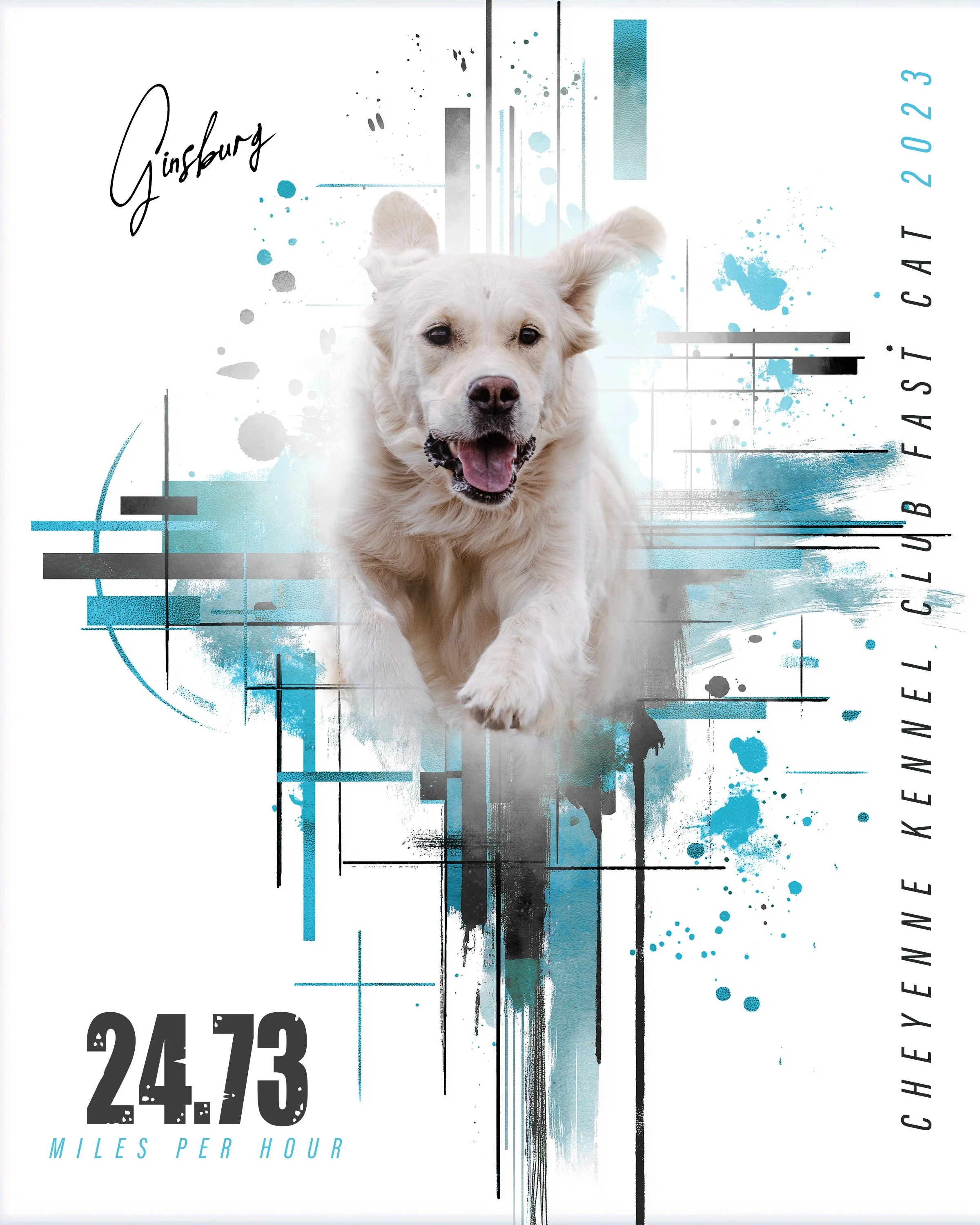 ginsburg collage.jpg