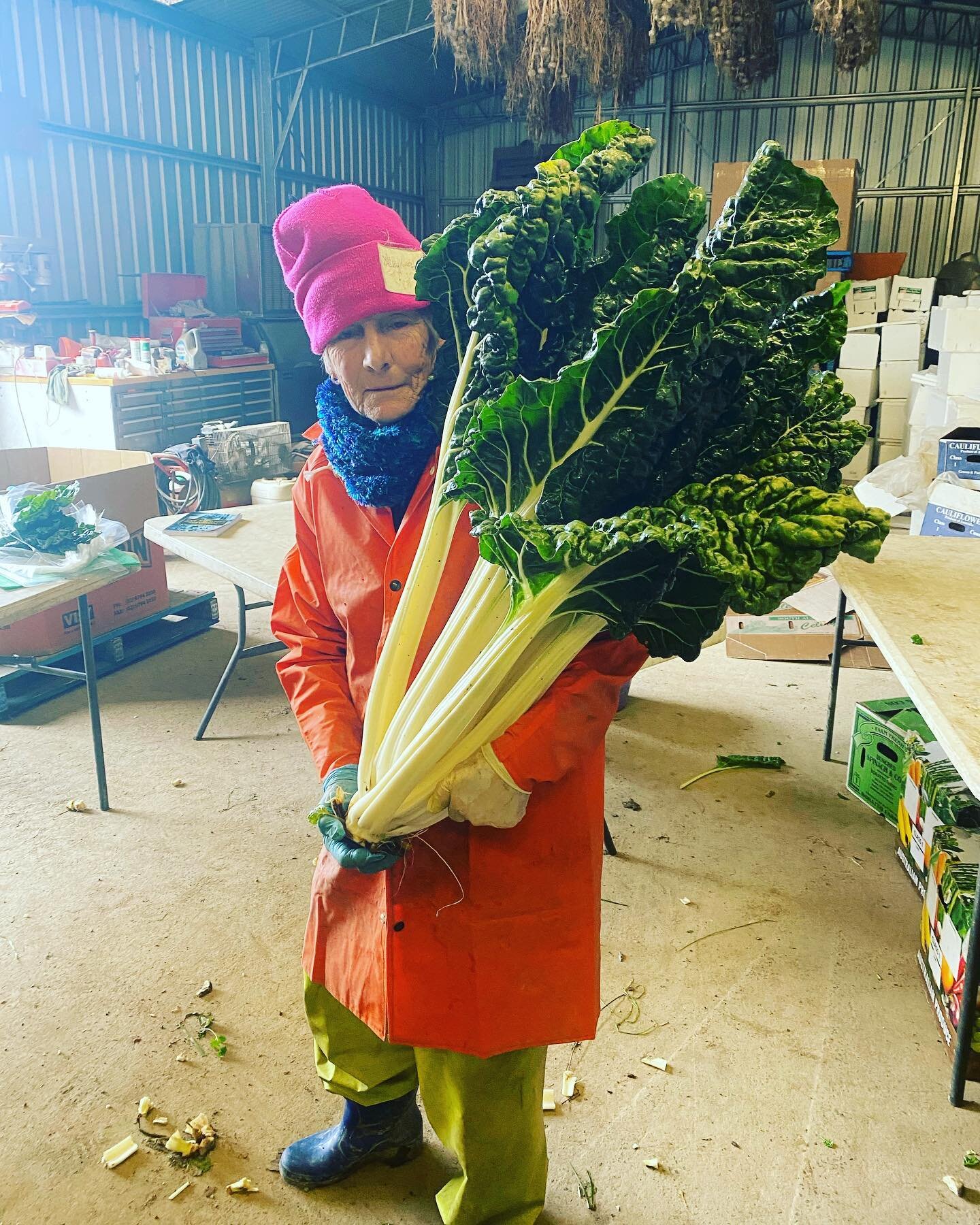 That&rsquo;s a big Silverbeet!  We will be delivering throughout the lockdown period on a Tuesday and Thursday so get your orders in. Farmers Markets will also still be running so see you at Boroondara (Hawthorn) on Saturday and Flemington on Sunday.