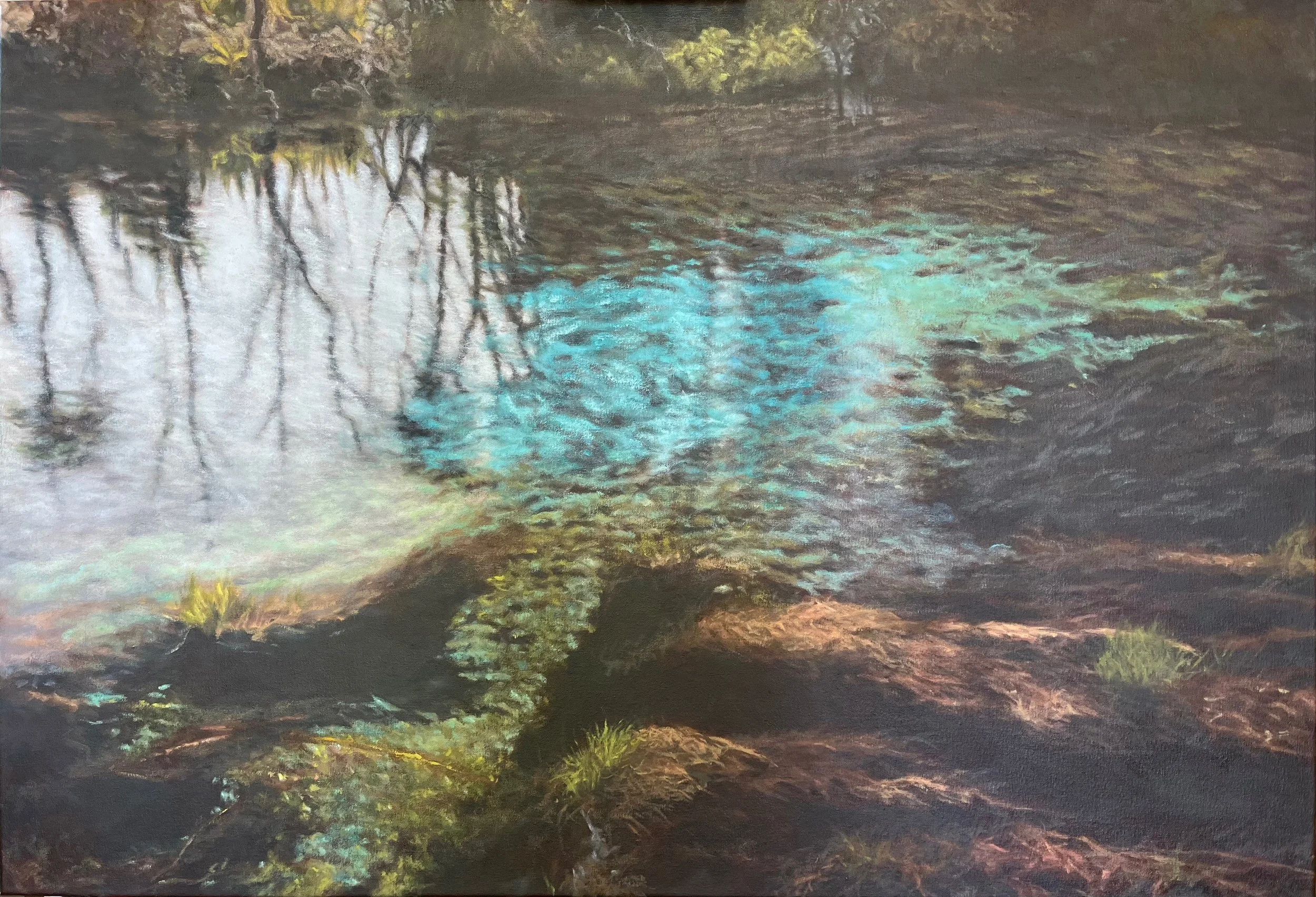 63: Deb Hunter-Whitlock 
Waipu 
Te Waikoropupū Springs 
1100mm x 750mm 
Oil Painting 
$2400.00 
