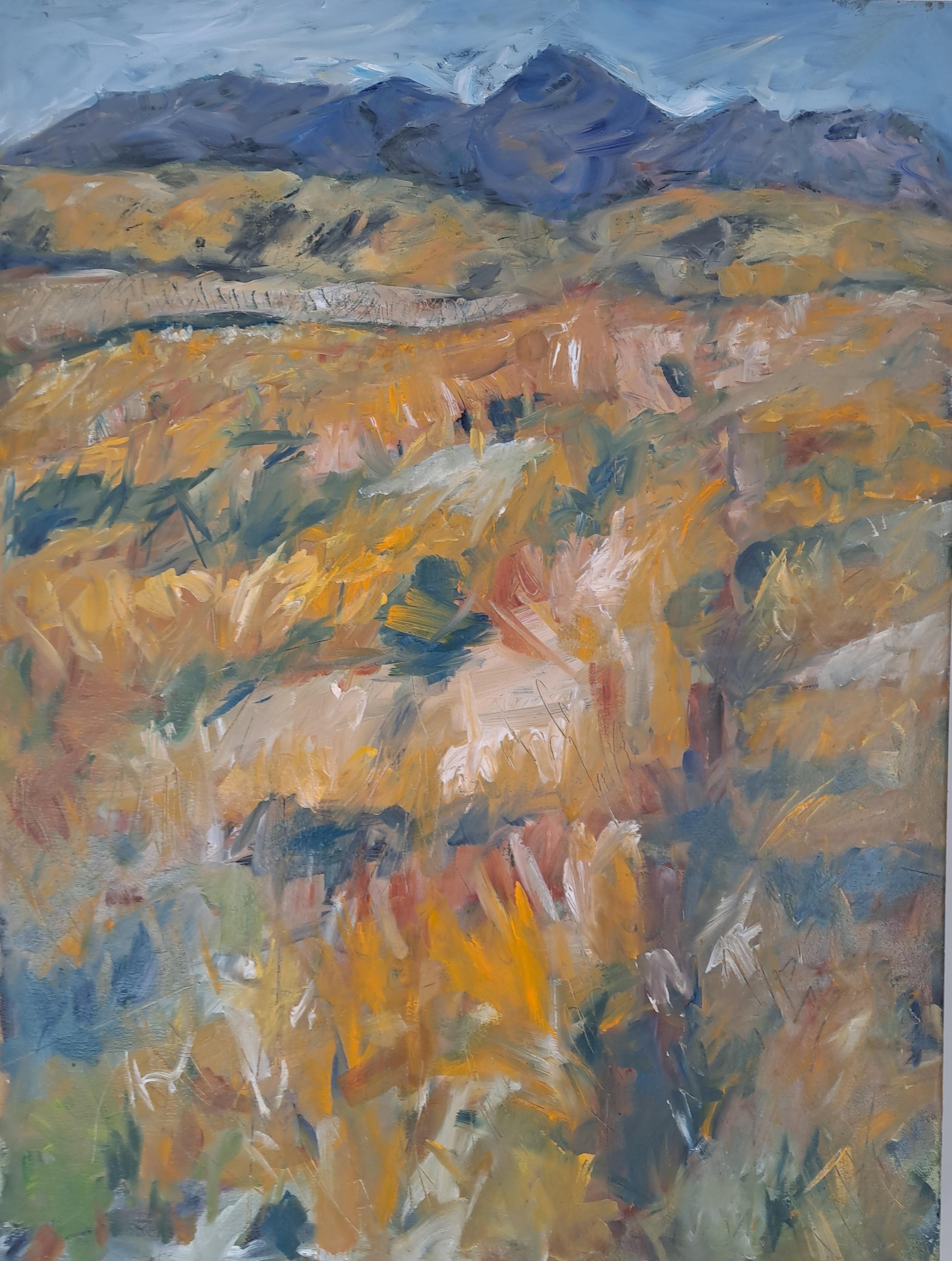 143: Pamela Wilson 
Arrowtown 
Summer Mountain Grasses 
600mm x 800mm 
Oil Painting 
$780.00 
