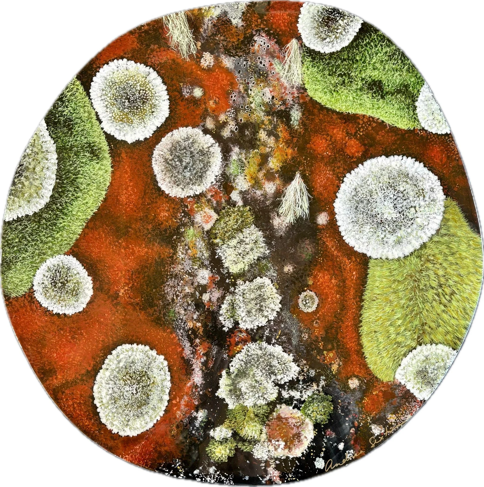 125: Andrea Sexton 
Orepuki 
Small Universes 
610mm Diameter 
Mixed Medium 
$2200.00 
