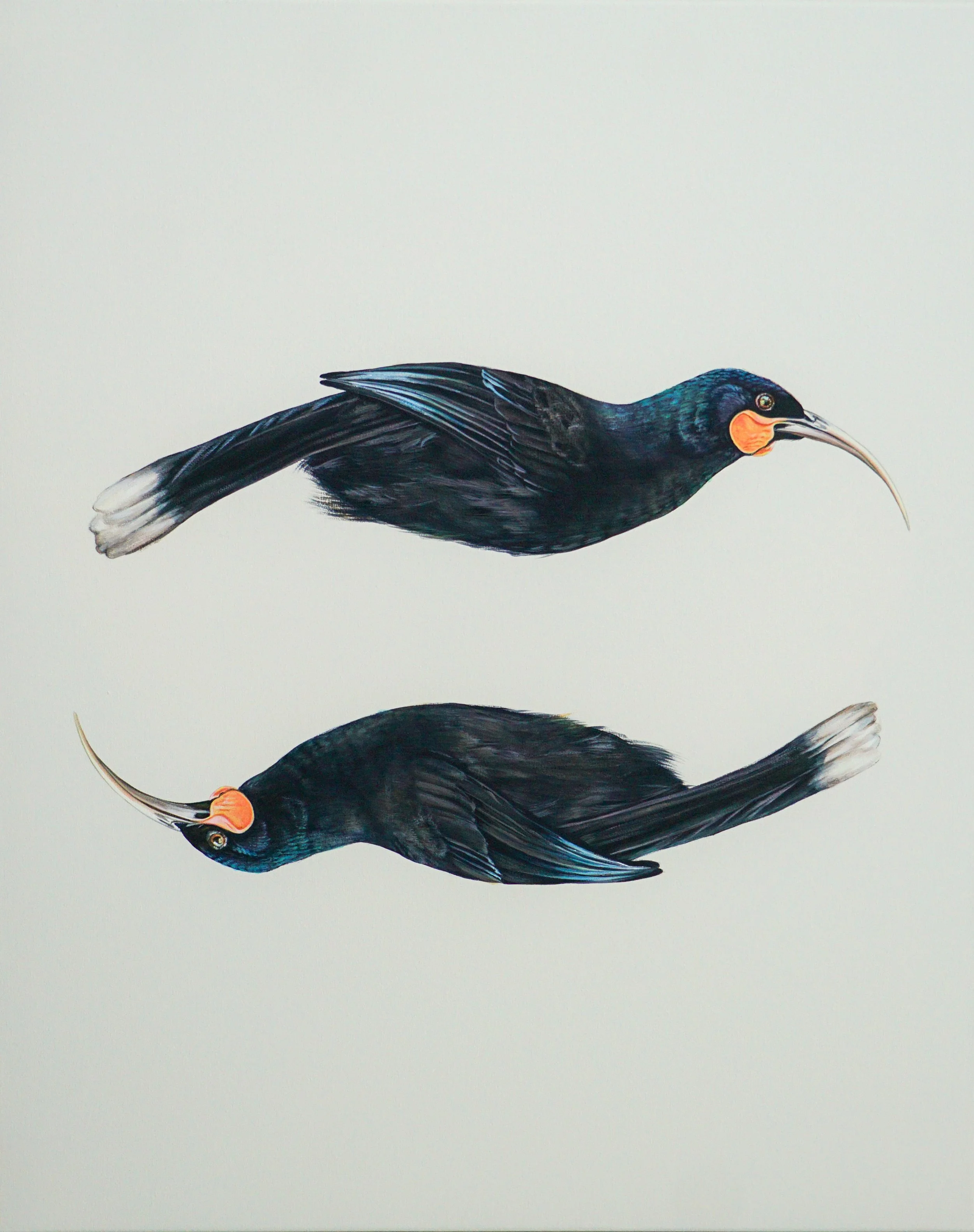 119: Sierra Roberts 
Wānaka 
Huia, Huia 
500mm x 750mm 
Acrylic Painting 
$4999.00 
