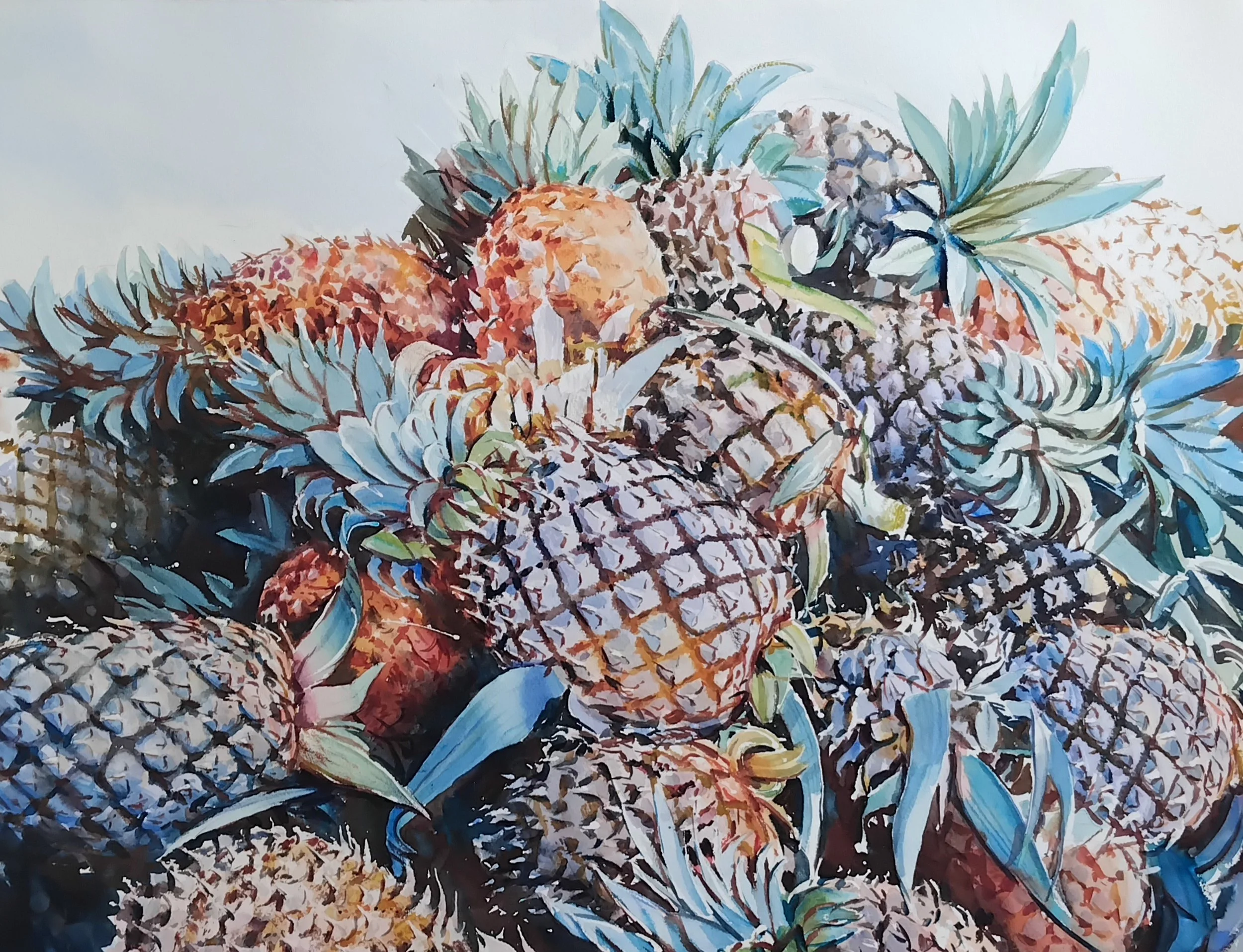17: Richard Bolton 
Geraldine 
Pineapple Harvest 
990mm x 800mm 
Watercolour 
$2500.00 
