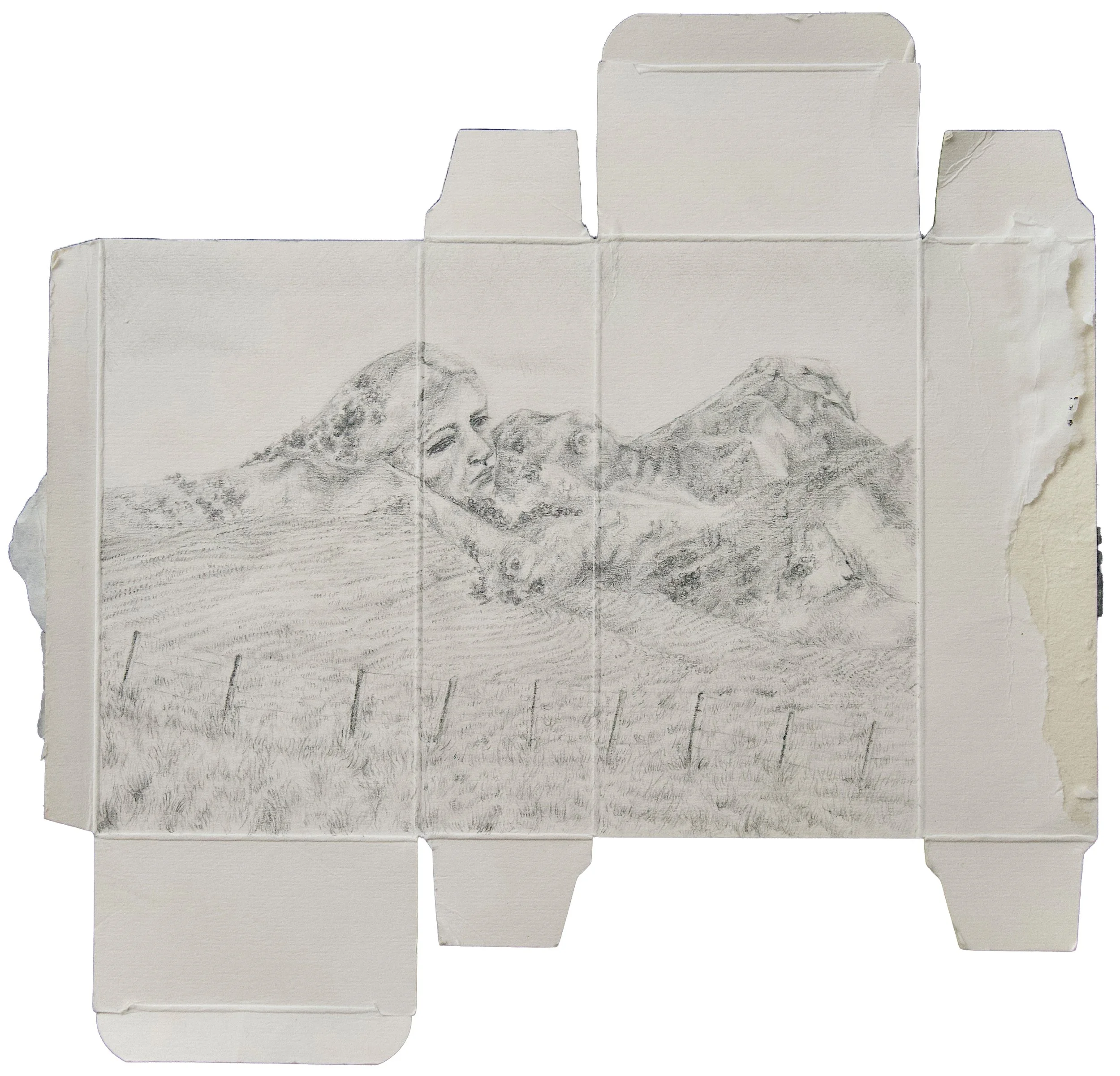 115: Jessica Randles 
Auckland 
The Whenua is Her 
310mm x 350mm 
Drawing (pencil, charcoal etc) 
$850.00 
