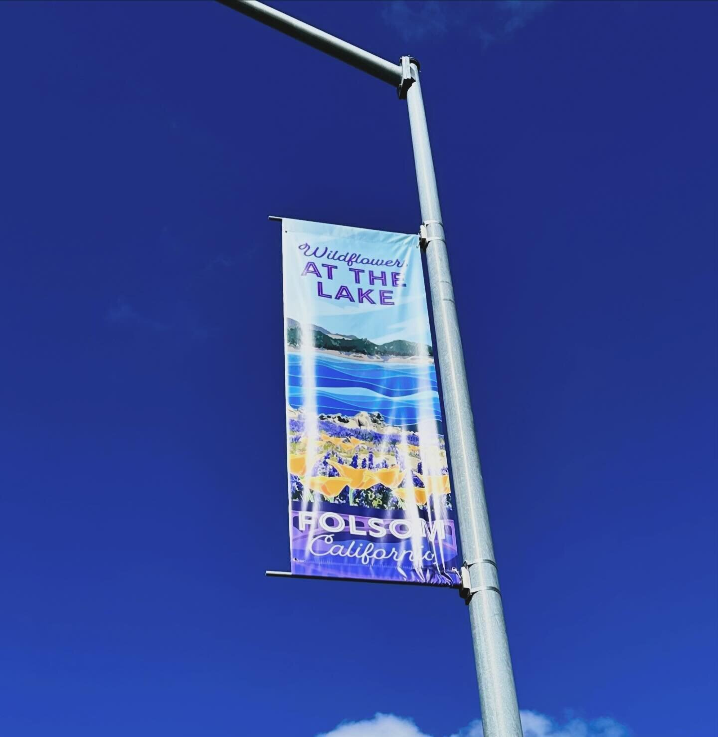 Went for a walk this AM across Folsom Lake Crossing and it is just awesome to see these banners line the trail. This banner hits all the right notes on a spring day like today.