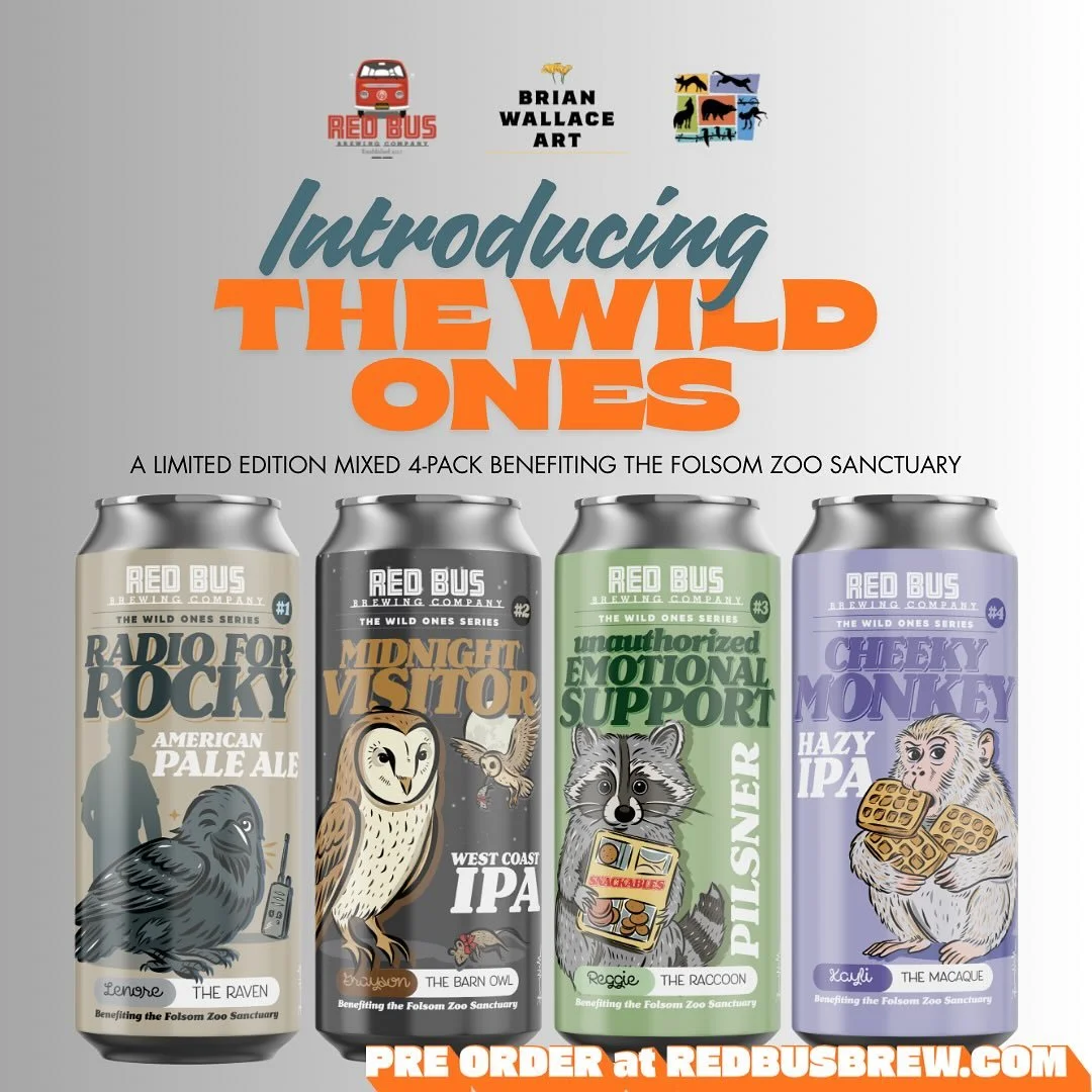 Meet the Wild Ones! 🐦&zwj;⬛🦉🦝 🐒 🍻

A special 4-pack I designed in collaboration with @redbusbrew , featuring real rescued animals from the @folsomcityzoosanctuary .

Each can features custom art and a true story, and a portion of proceeds helps 