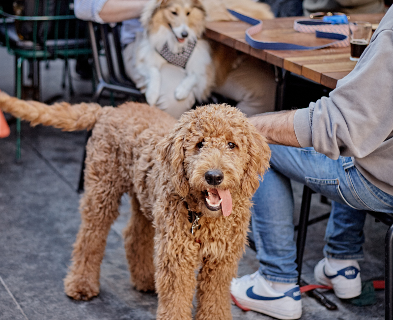 Terminus eDM Header (13).png