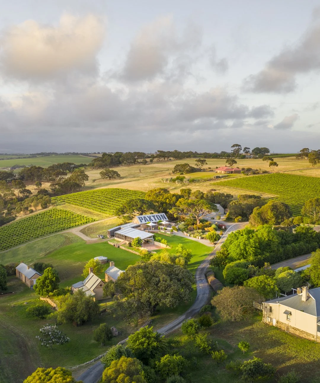 20191106-DJI_0563.jpg