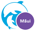 DA_Maui_web.png