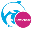 DA_Bottlenose_web.png