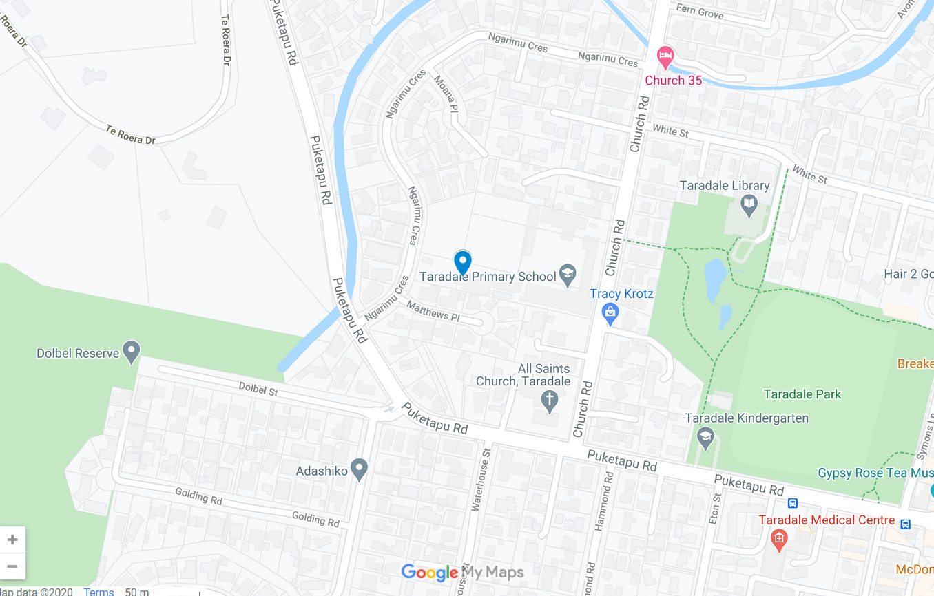 Dolphin Academy Swim School