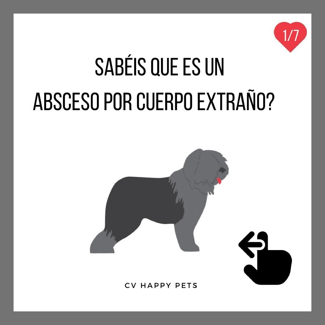 Y para finalizar este jueves de mucho trabajo, aqu&iacute; seguimos aprendiendo con Happy Pets con un nuevo caso 🥸
⬆️⬆️⬆️

Gracias @gemmanereu por confiar en nosotros ❤️

#cvhappypets #puppy #cachorros #abscesos #granulomaporcuerpoextra&ntilde;o #ca