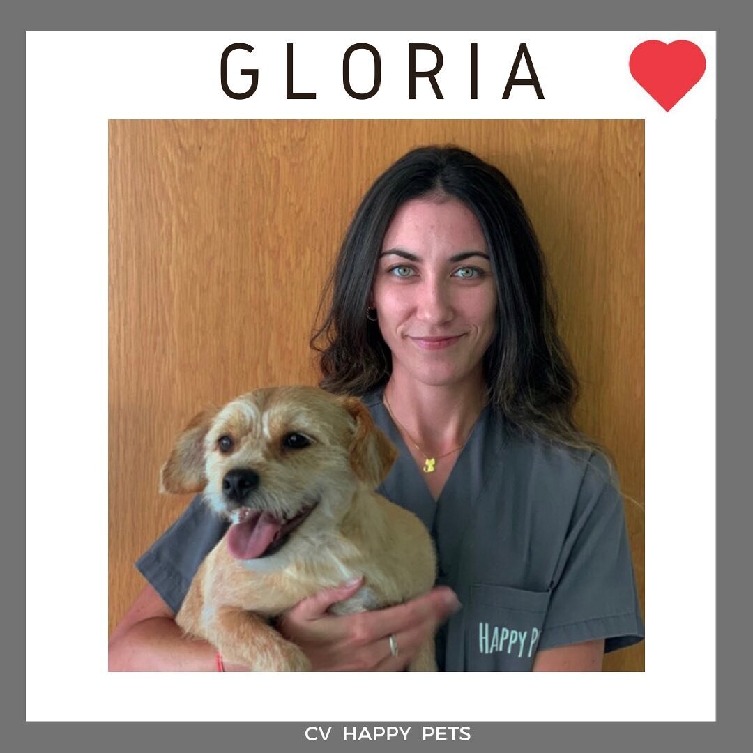 ➡️Hoy vamos con la benjamina del equipo, Gloria, nuestra auxiliar veterinaria.

✅Es la peque&ntilde;a del grupo pero no por eso la menos valiente. Aunque es de aspecto t&iacute;mido, es una todoterreno y no hay bicho que se le resista.

✅Adem&aacute;