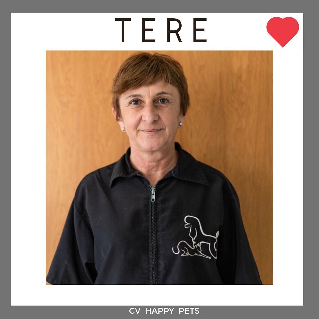 ✅Ya casi estamos llegando al final de las presentaciones de nuestro equipo! Hoy es el turno de Tere, nuestra peluquera canina!

➡️Tere es la responsable del servicio de peluquer&iacute;a en nuestra cl&iacute;nica de Camposol desde 2005, y siempre ha 