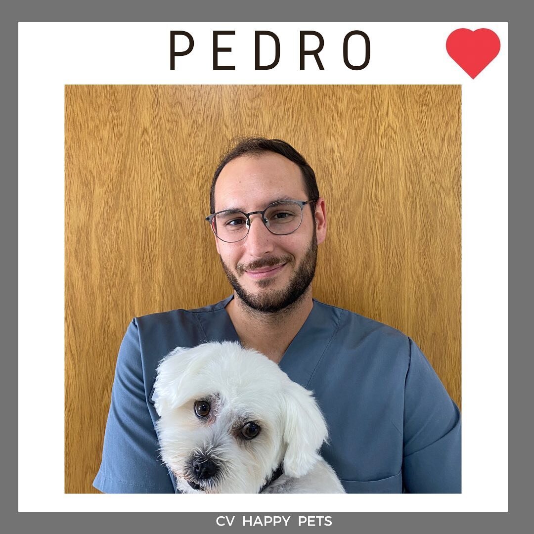 ➡️Hoy terminamos con las publicaciones de nuestro equipo de la mano de Pedro nuestra &uacute;ltima incorporaci&oacute;n!

✅Pedro es veterinario desde hace 8 a&ntilde;os pero est&aacute; con nosotros desde Mayo. 

✅Durante todo este tiempo ha estado e