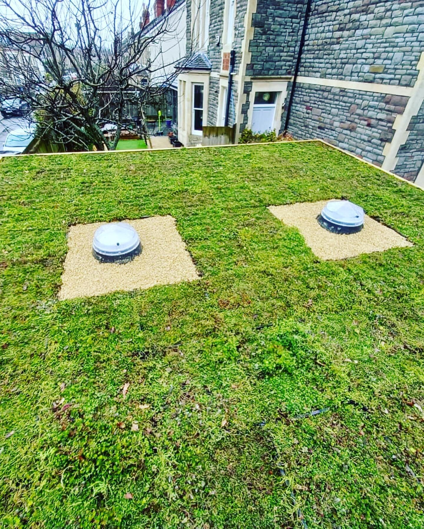 Green roof with sun tunnels 🌱🌞