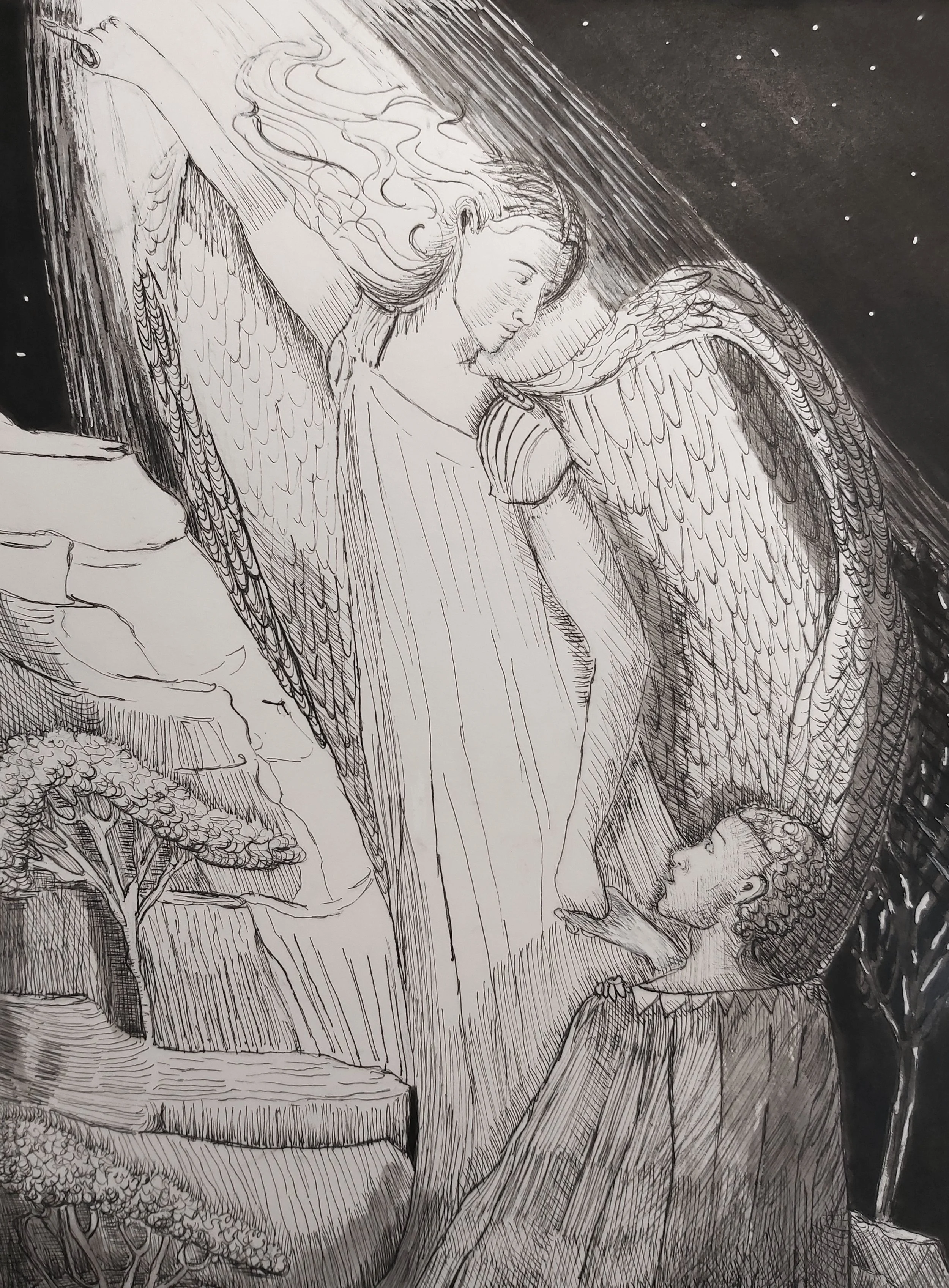 light path final.jpg