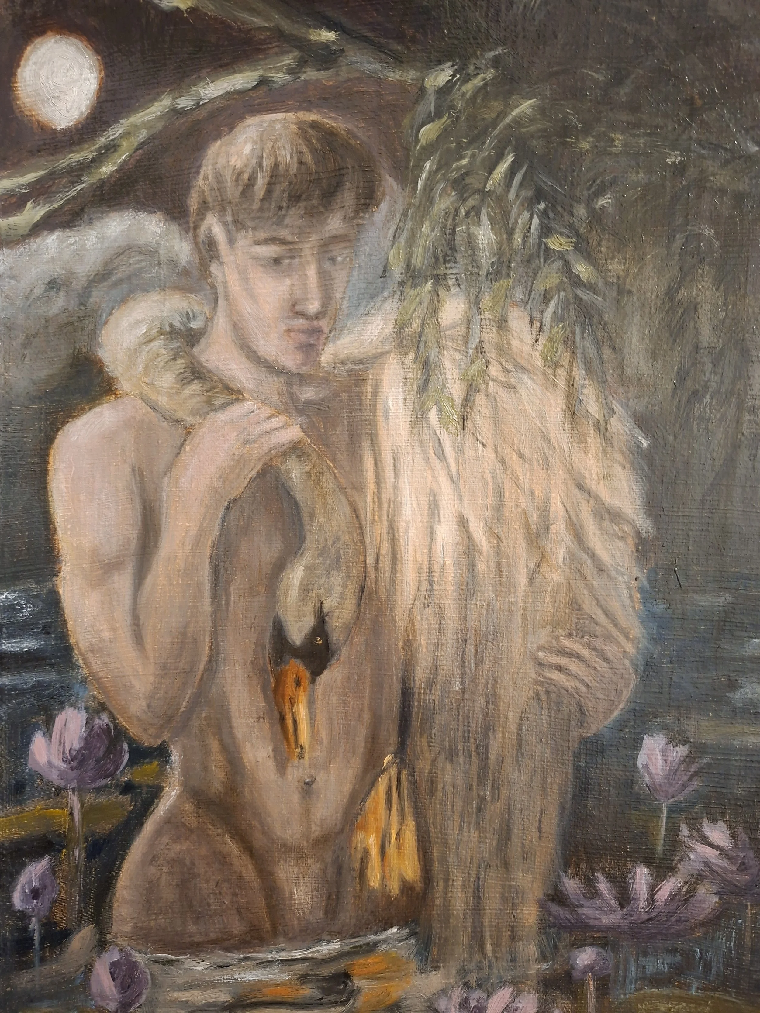 swan 2.jpg