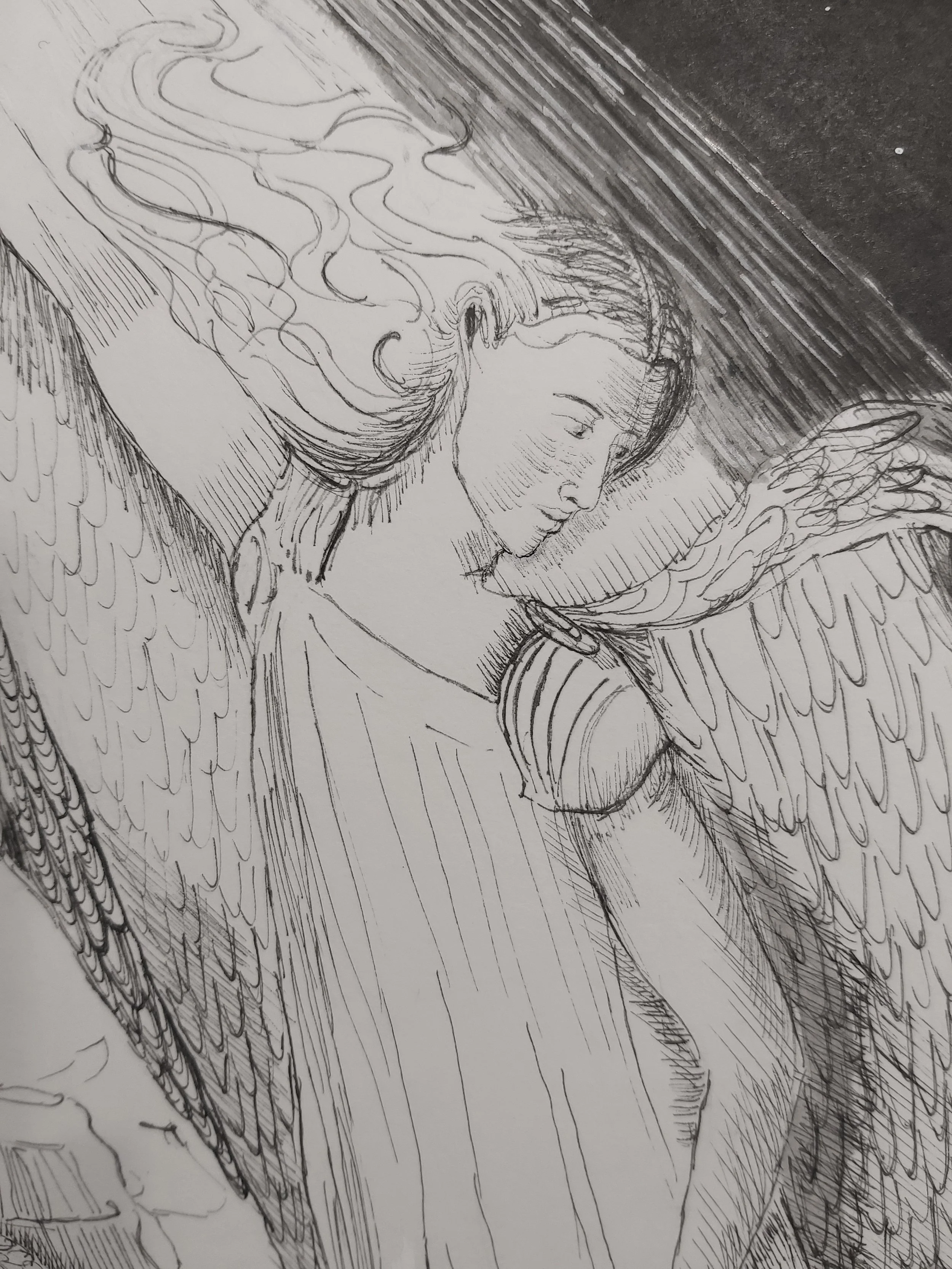 light path final 2.jpg