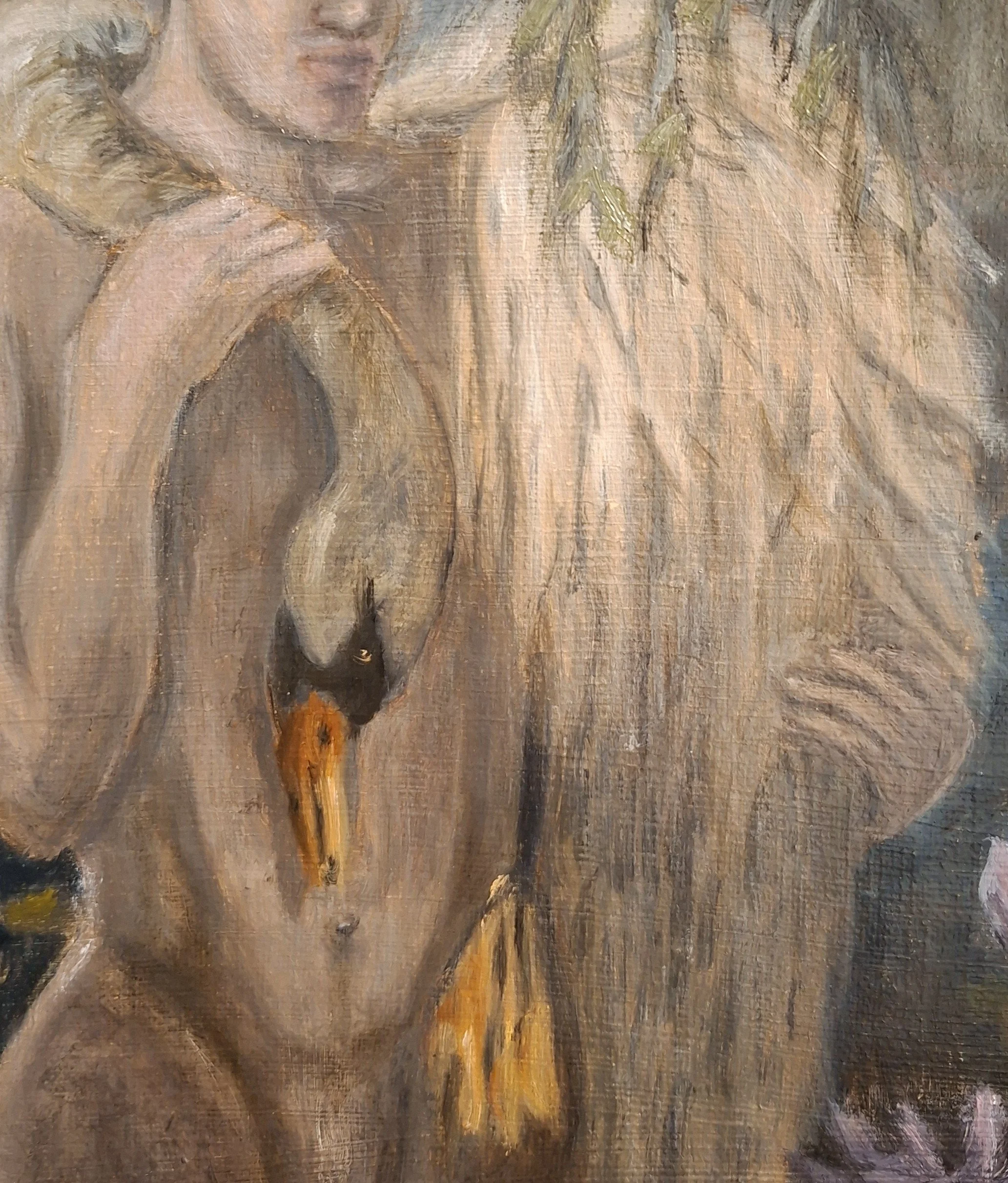 swan 5.jpg