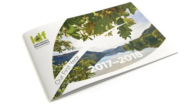 Brochure Design Cover-768x418.jpg