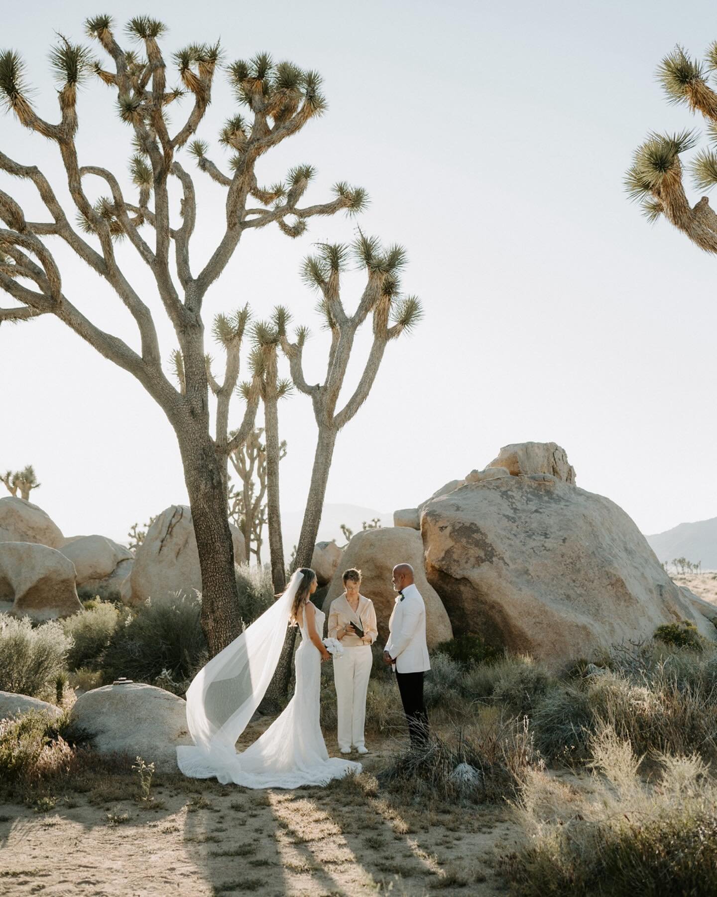 I am 1000000% obsessed with this Joshua Tree elopement. It was perfect, intimate, SO fun and now they are marrrrried!!!

The team:
Planning: @carrie_thewedyplanner @wedy.app 
Officiant: @weddinginthedesert 
Hair and makeup: @deserthoneyartistry 
Cake