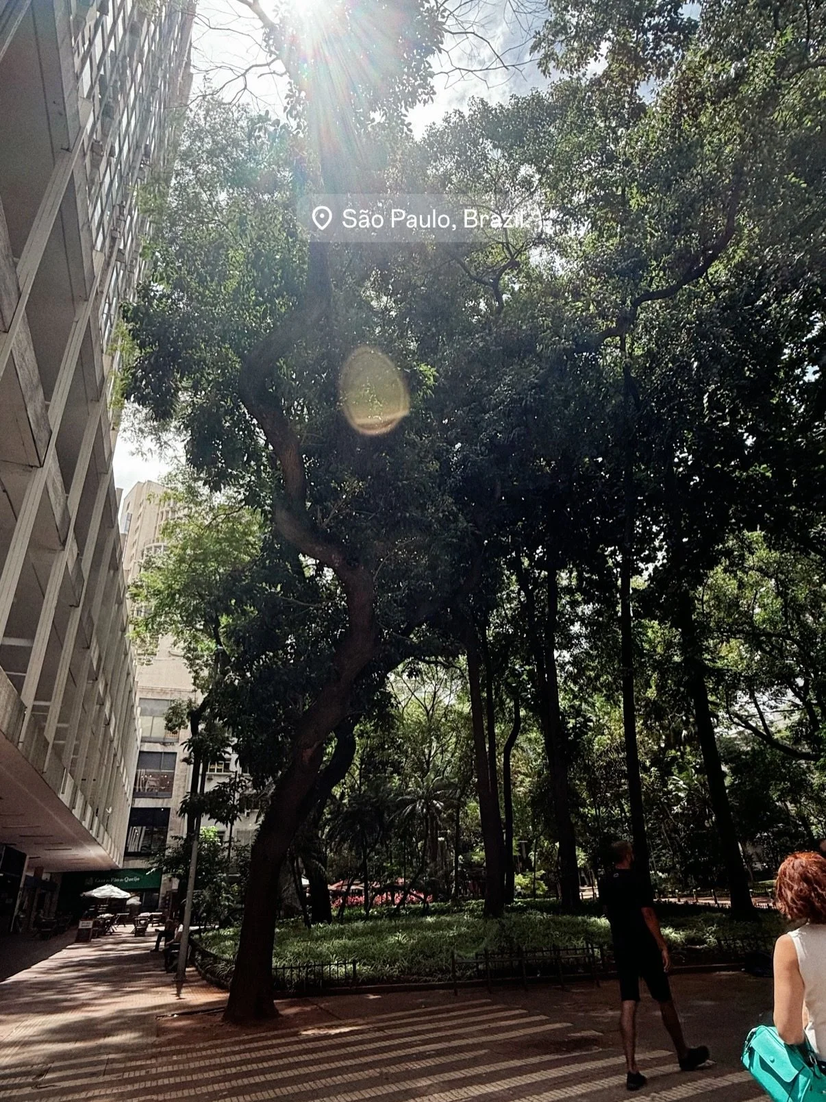 First 24hrs in Sp:
&bull; delicious food at @forno_sp 
&bull;free walking tour @spfreewalkingtour super safe and great to explore places you wouldnt go on our own
&bull;lot&rsquo;s of amazing food 

#saopaulo #whattodoinsaopaulo #wheretoeatsaopaulo