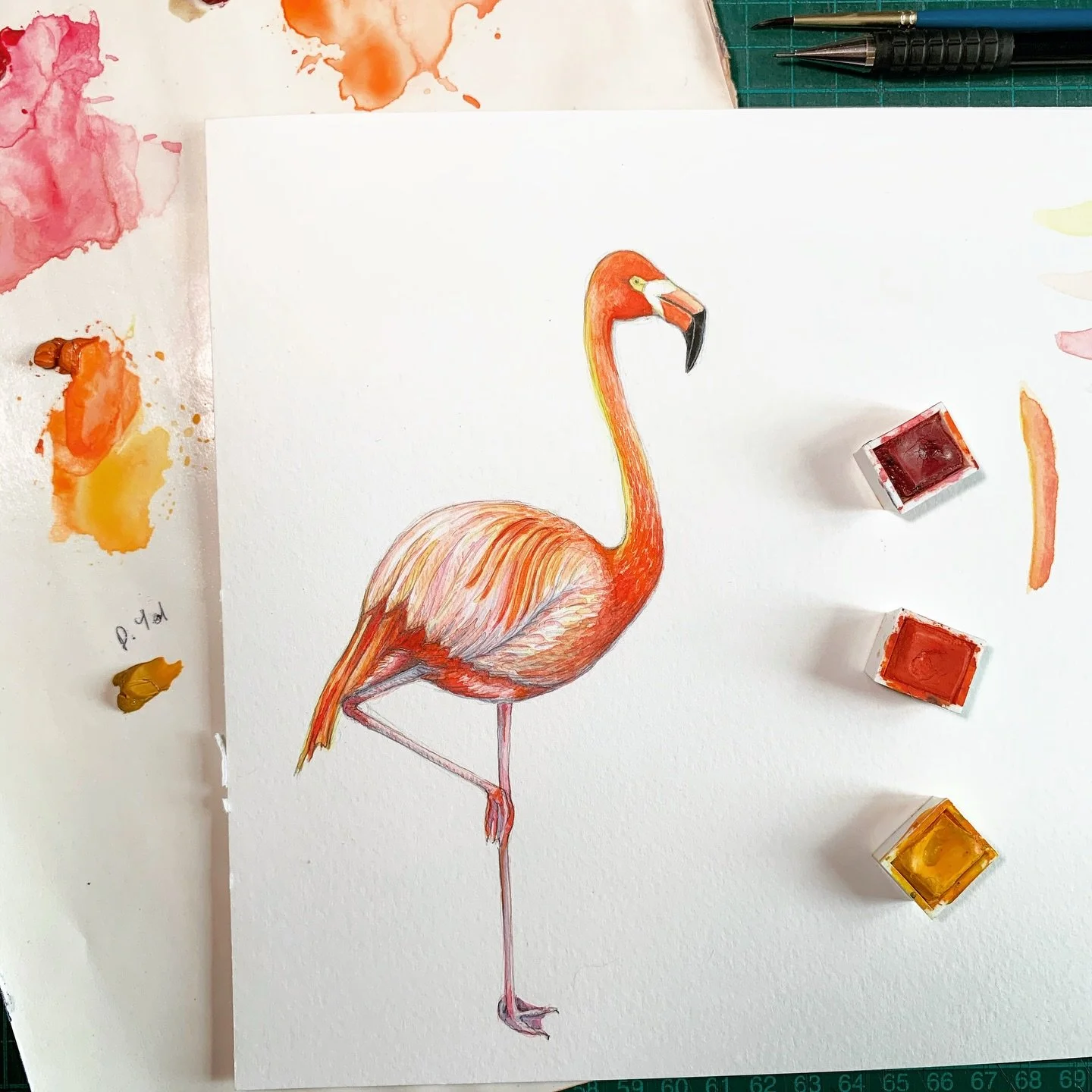 🦩 Flamina Friday! 🦩

💫 Back to where it all began; Flamina was my very first doodle to become a greetings card &amp; and all the more since!

🦩 From cards to wrapping paper, she always brings a smile wherever she goes!

💫 Link in my bio to shop 